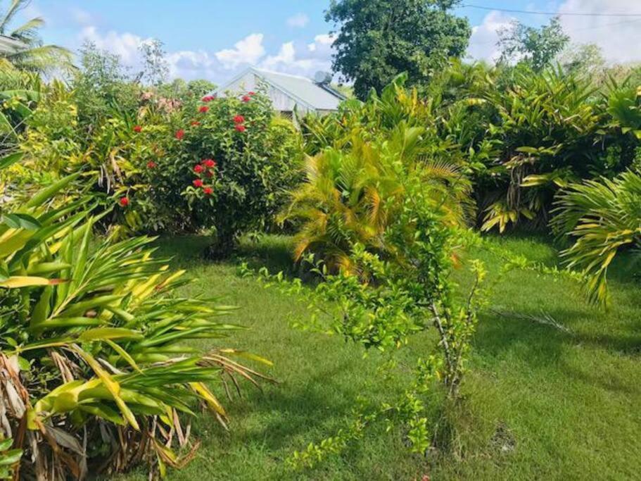 Villa Sous Le Manguier-Anse Bertrand 5Min Plage المظهر الخارجي الصورة