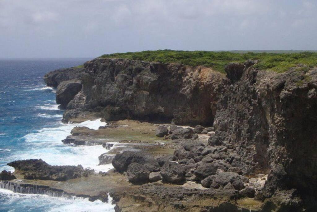 Villa Sous Le Manguier-Anse Bertrand 5Min Plage المظهر الخارجي الصورة