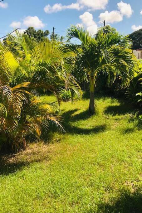 Villa Sous Le Manguier-Anse Bertrand 5Min Plage المظهر الخارجي الصورة