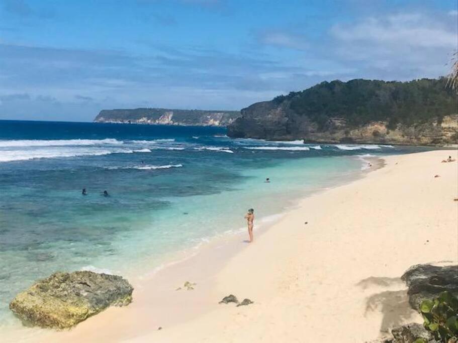 Villa Sous Le Manguier-Anse Bertrand 5Min Plage المظهر الخارجي الصورة